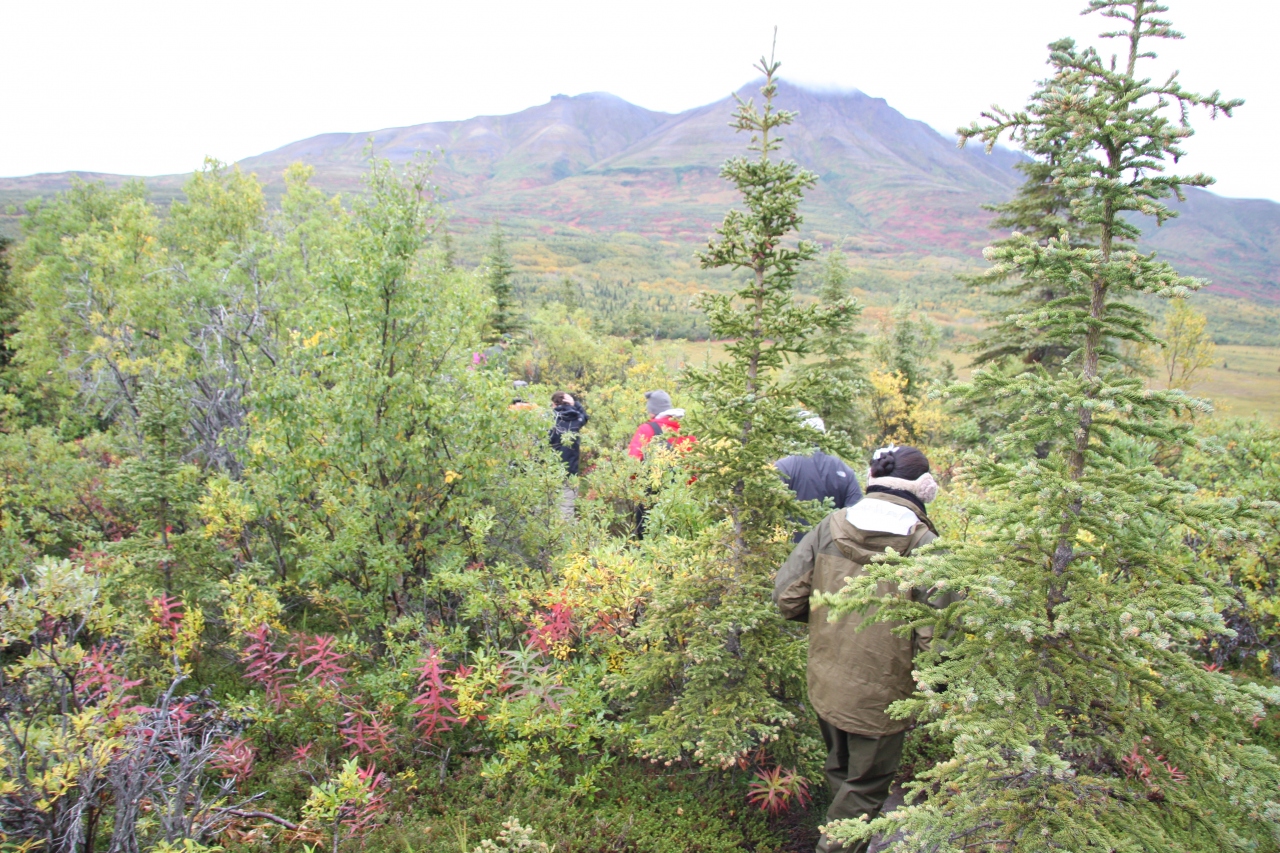 グリズリーとオーロラのアラスカ カトマイ国立公園周辺 アメリカ の旅行記 ブログ By Mokemiさん フォートラベル グリズリーとオーロラのアラスカ カトマイ国立公園周辺 アメリカ の旅行記 ブログ By Mokemiさん フォートラベル