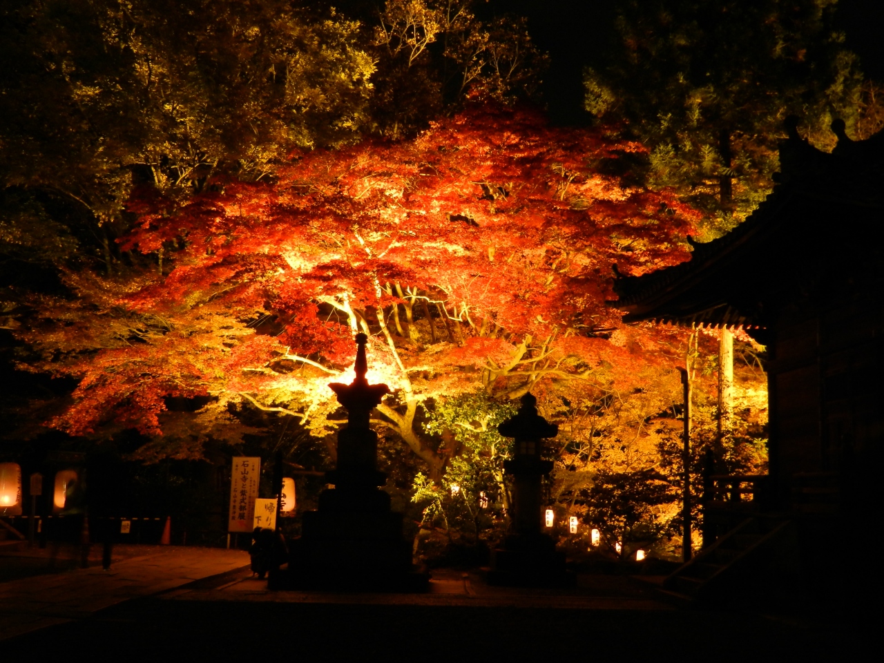 12年紅葉だより 石山寺の紅葉ライトアップに行ってきました 滋賀県大津市 石山寺周辺 滋賀県 の旅行記 ブログ By Joecoolさん フォートラベル