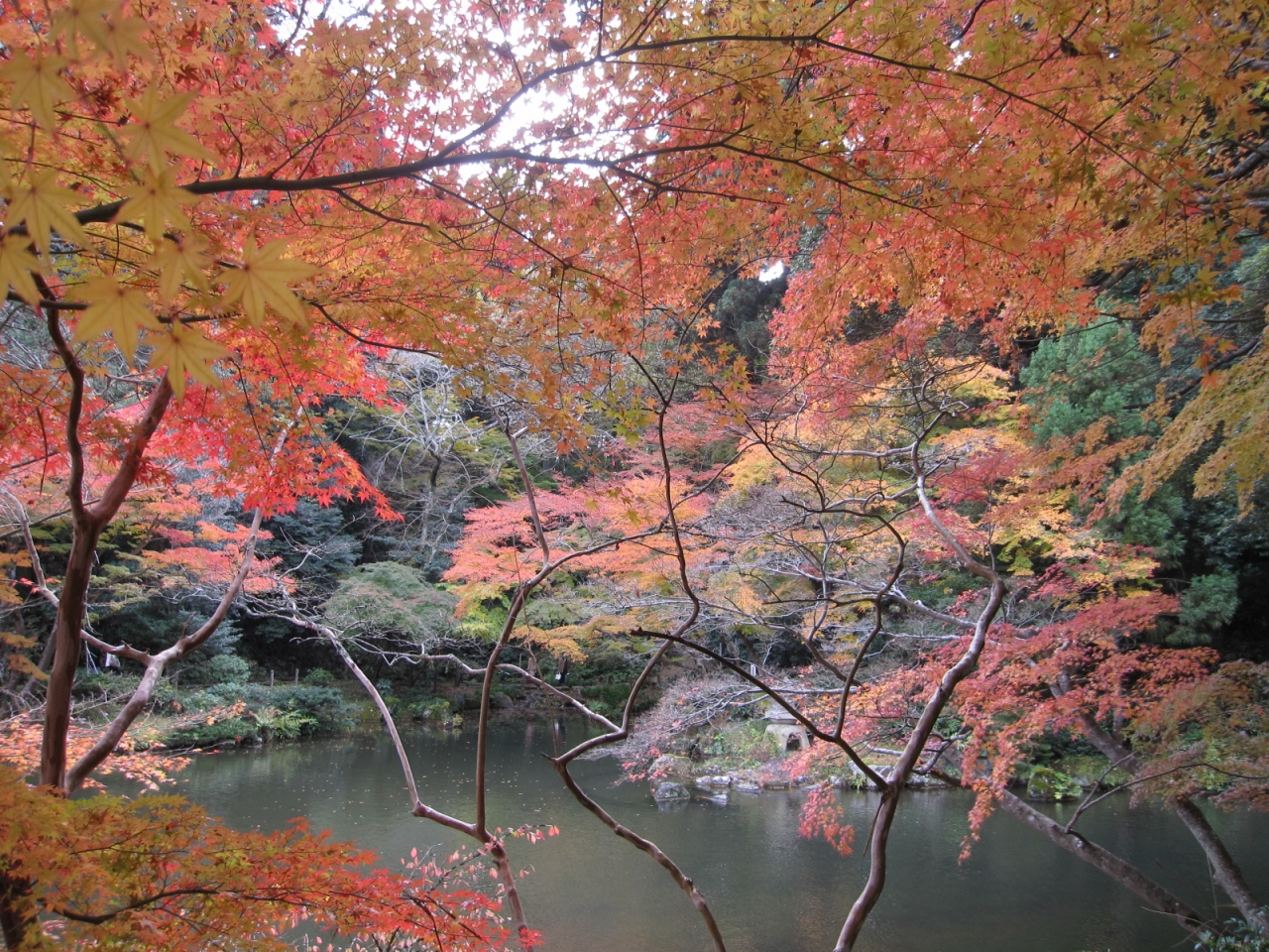 成田山紅葉祭り 今年も名取亭で鰻 12 11 24 成田 千葉県 の旅行記 ブログ By 杏仁豆腐さん フォートラベル