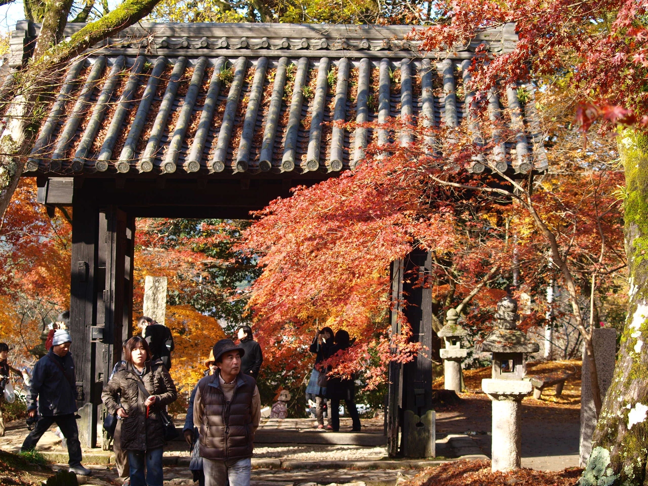 紅葉の秋月城址 原鶴温泉 福岡県 の旅行記 ブログ By Chantyyukiさん フォートラベル