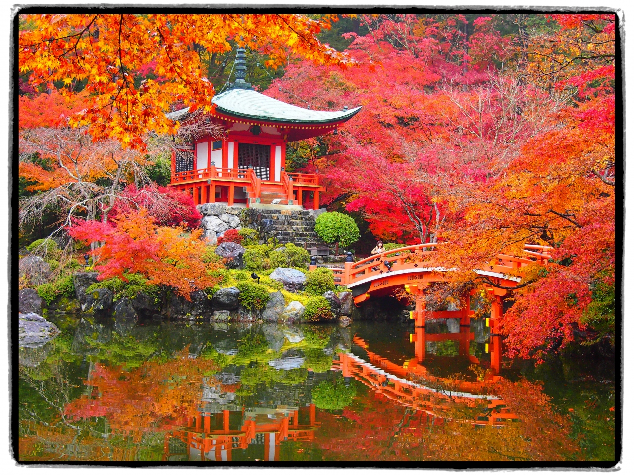 古都京都の四季をゆく・秋編【２】～林泉の水面を紅く染める醍醐寺へ 