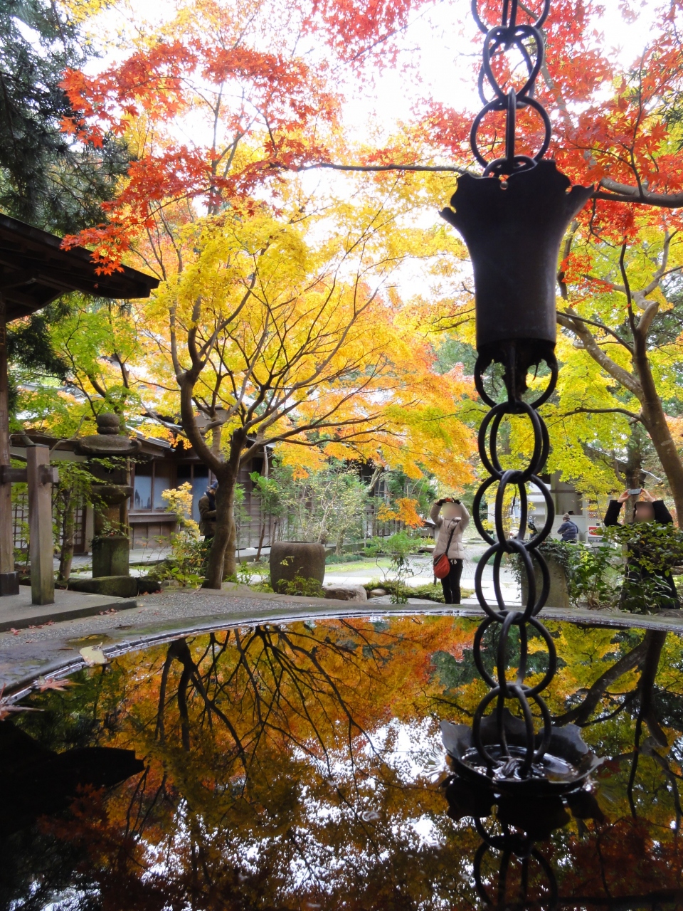 12年 紅葉鎌倉散歩 茶寮ランチとオージーブレックファストも 鎌倉 神奈川県 の旅行記 ブログ By やっちまさん フォートラベル 12年 紅葉鎌倉散歩 茶寮ランチとオージーブレックファストも 鎌倉 神奈川県 の旅行記 ブログ By やっちまさん フォートラベル