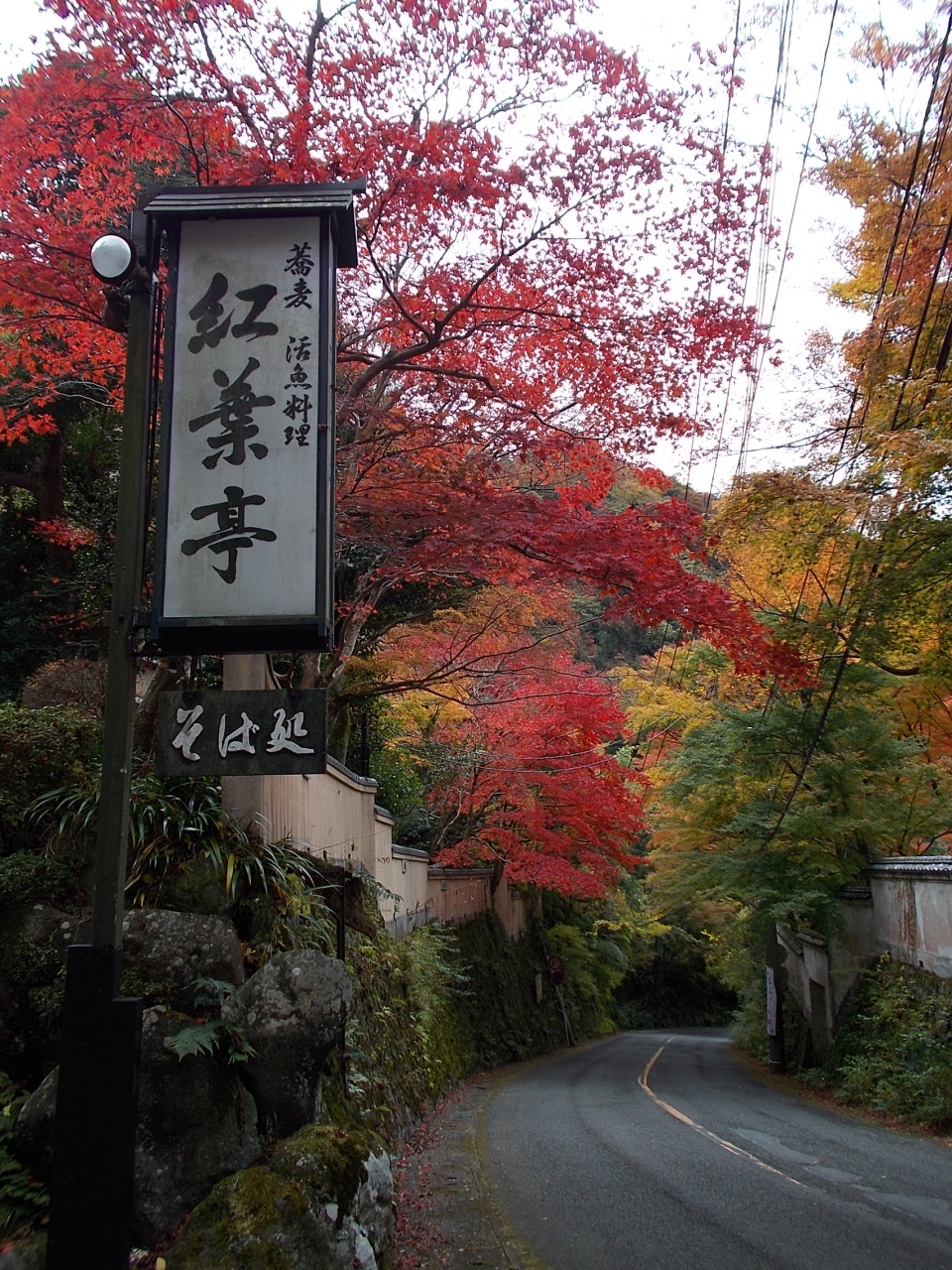 紅葉 真っ盛り の 奥湯河原 に 行こう 紅葉色 の 茶席 で ミニ お点前 真鶴半島 の 原生林 海岸線 散歩 の 日帰り 旅 湯河原温泉 神奈川県 の旅行記 ブログ By 白い華さん フォートラベル