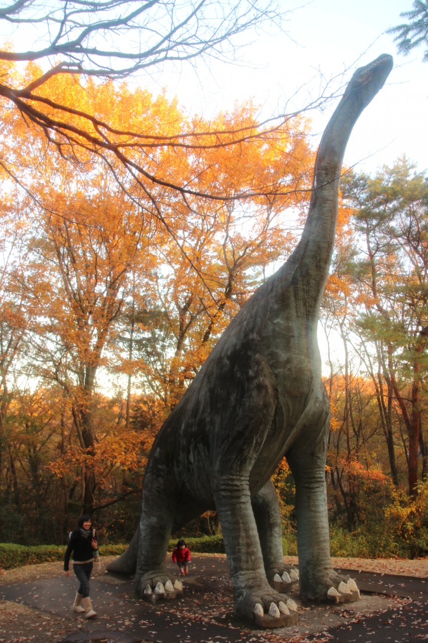 自然 動物 埼玉 公園 こども