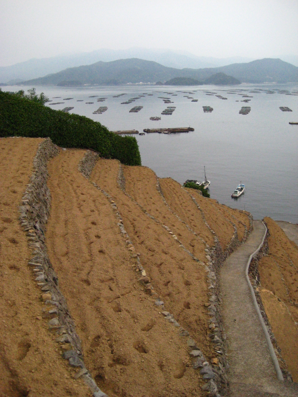 海辺の段々畑 愛媛県遊子水荷浦 宇和島 愛媛県 の旅行記 ブログ By Tokotokoさん フォートラベル