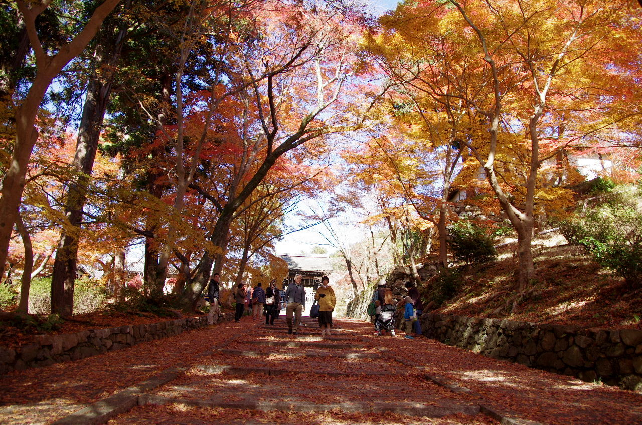 12 京都紅葉だより 青空に映える紅葉の毘沙門堂 山科 京都 の旅行記 ブログ By Jyugonさん フォートラベル