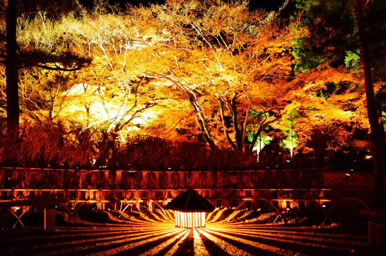 紅葉の〆に初めて嵐山花灯路と宝厳院夜間特別拝観に行ってきました 嵐山 嵯峨野 太秦 桂 京都 の旅行記 ブログ By Goodspeedさん フォートラベル