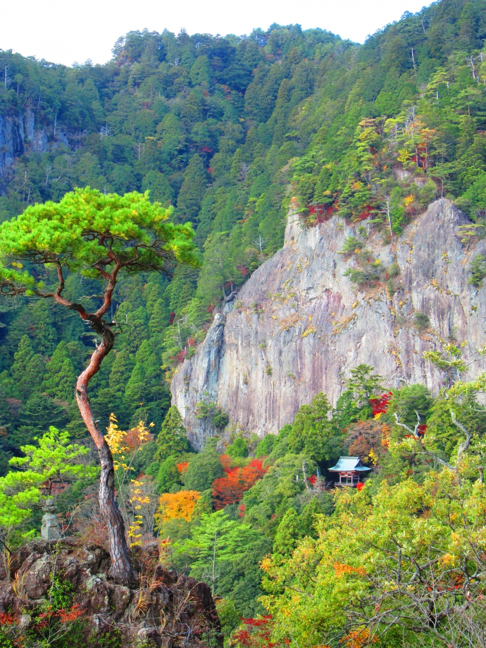 寺山 鳳来