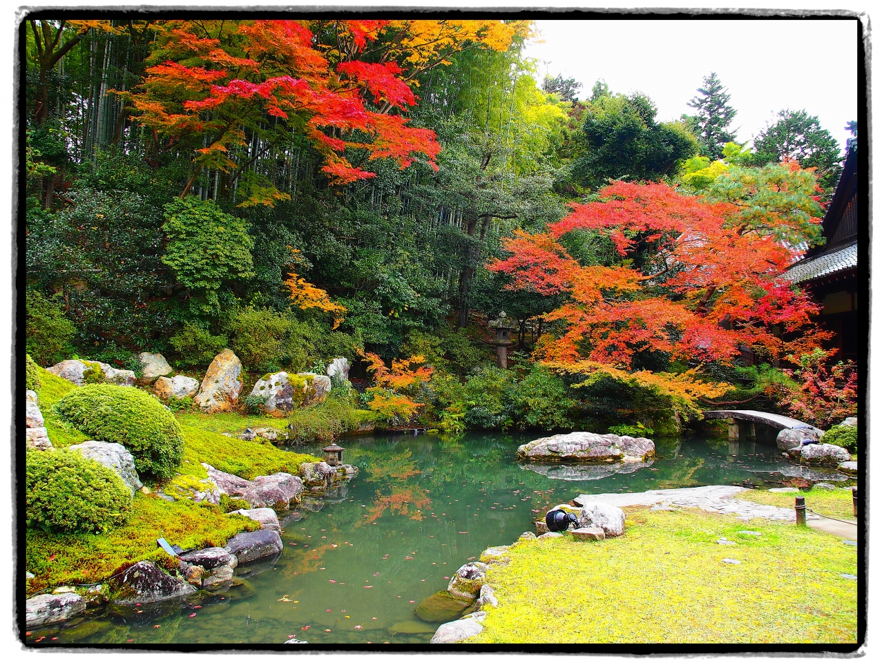 古都京都の四季をゆく 秋編 7 紅く彩られた門跡寺院 青蓮院へ 東山 祇園 北白川 京都 の旅行記 ブログ By 紅い翼さん フォートラベル 古都京都の四季をゆく 秋編 7 紅く彩られた門跡寺院 青蓮院へ 東山 祇園 北白川 京都 の旅行記 ブログ By 紅い翼さん フォートラベル