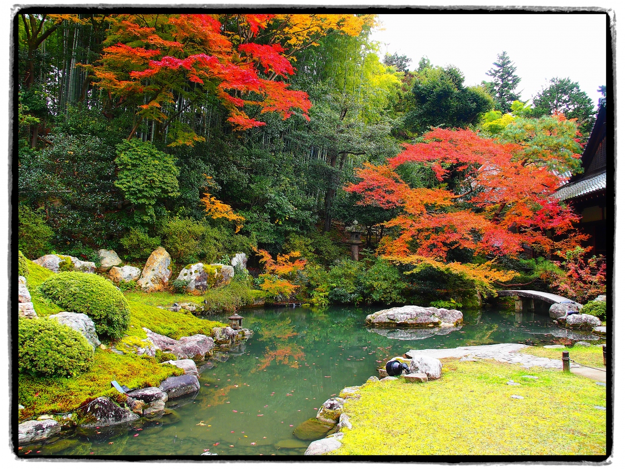 古都京都の四季をゆく 秋編 ７ 紅く彩られた門跡寺院 青蓮院へ 東山 祇園 北白川 京都 の旅行記 ブログ By 紅い翼さん フォートラベル