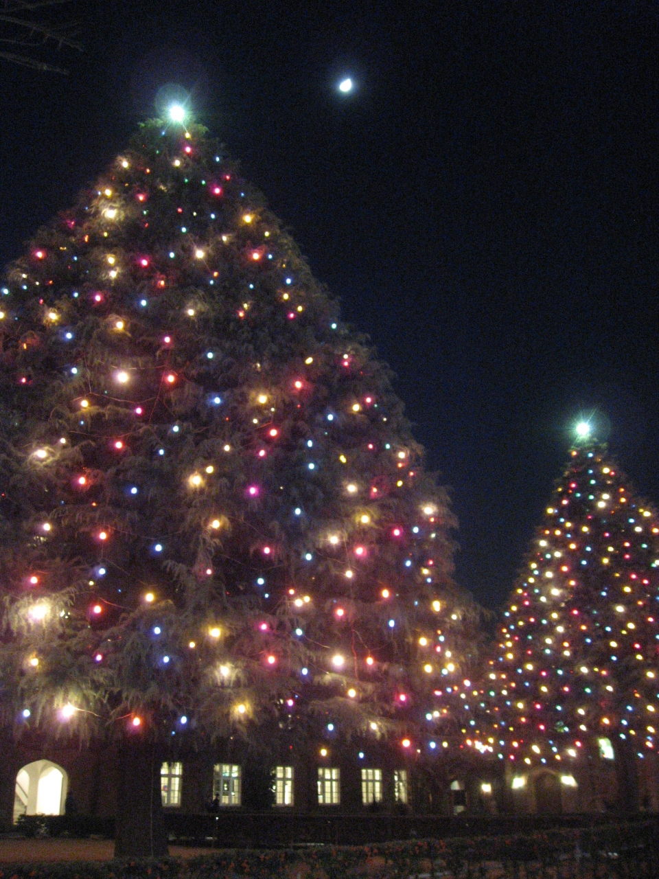 １２ 立教大学のクリスマスツリー 池袋 東京 の旅行記 ブログ By たーさん フォートラベル