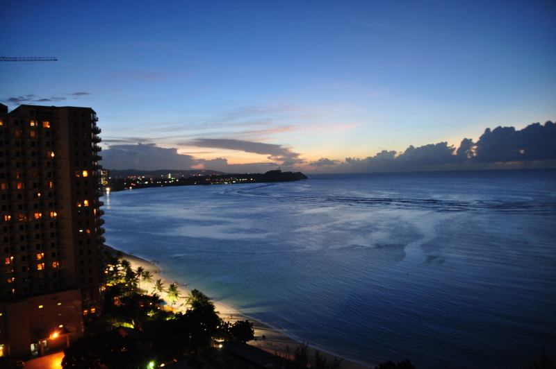 Guamの夜景と美しい植物 グアム グアム の旅行記 ブログ By Seattleさん フォートラベル