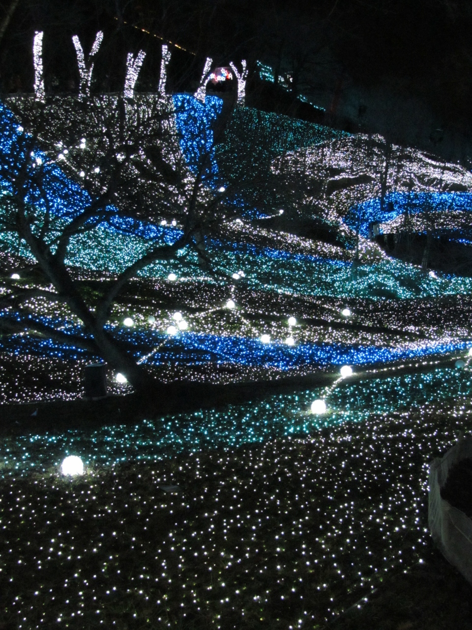 高尾山 さがみ湖イルミリオン 津久井湖 相模湖 神奈川県 の旅行記 ブログ By まゆぴんさん フォートラベル 高尾山 さがみ湖イルミリオン 津久井湖 相模湖 神奈川県 の旅行記 ブログ By まゆぴんさん フォートラベル