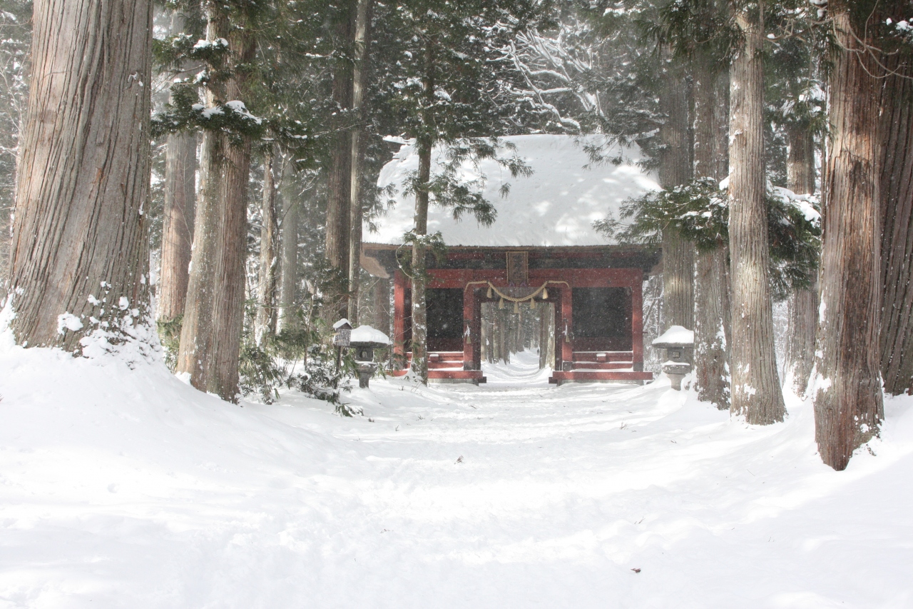 信州 雪の 戸隠奥社 スノーハイキング 戸隠 鬼無里 長野県 の旅行記 ブログ By いぬちゃんさん フォートラベル