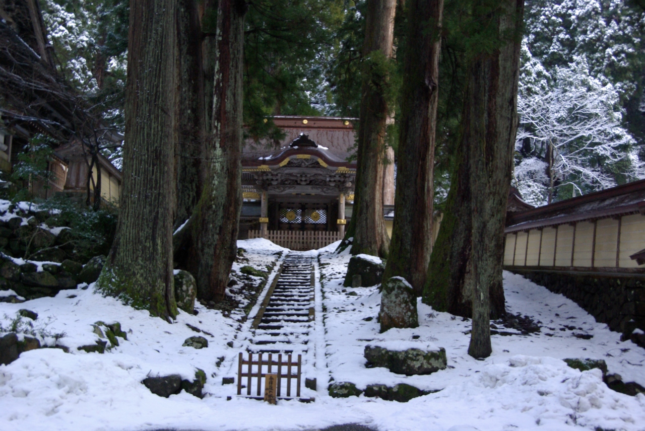 この冬 青春最後の旅 雪の福井 永平寺でミラクルと出会う 永平寺 丸岡 福井県 の旅行記 ブログ By はなかみno王子さん フォートラベル
