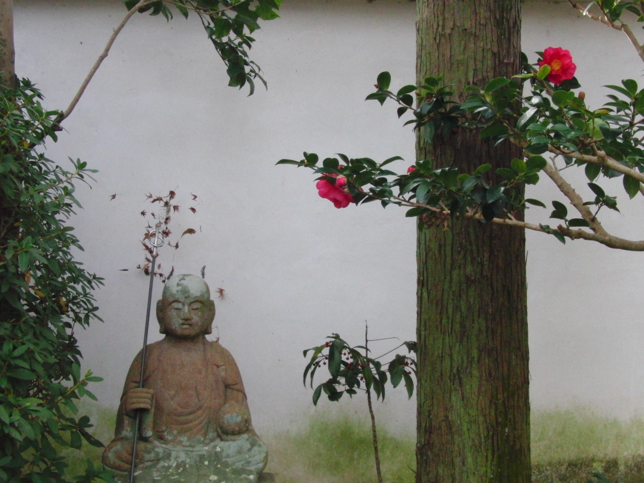 アイラブ仏像めぐり 石光寺 せっこうじ 奈良県 御所 葛城 奈良県 の旅行記 ブログ By ゆうこママさん フォートラベル