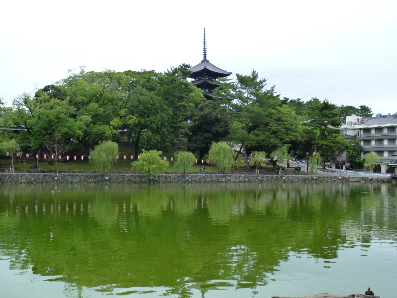 阿修羅様と再会の旅 初めての一人旅 奈良市 奈良県 の旅行記 ブログ By Cotton Candyさん フォートラベル