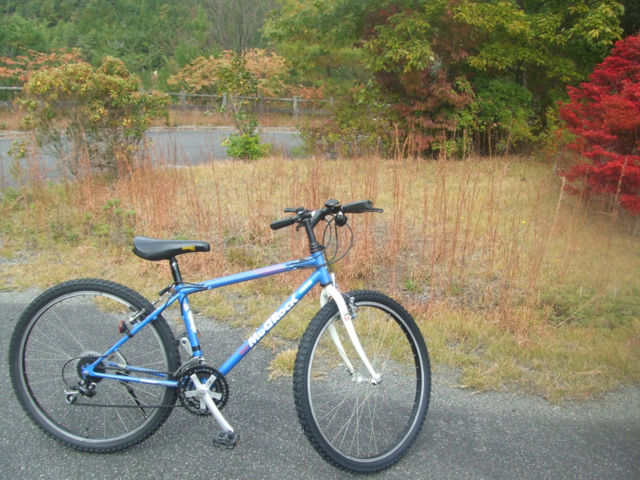 自転車 マラソンの旅in三原 三原 広島県 の旅行記 ブログ By Miyasamuさん フォートラベル 自転車 マラソンの旅in三原 三原 広島県 の旅行記 ブログ By Miyasamuさん フォートラベル
