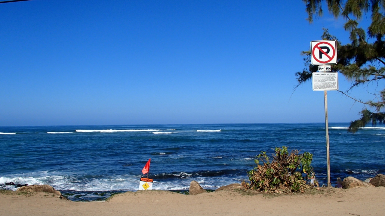 ２０１２年末のハワイはドタバタでした ３ ホノルル ハワイ の旅行記 ブログ By さちささん フォートラベル