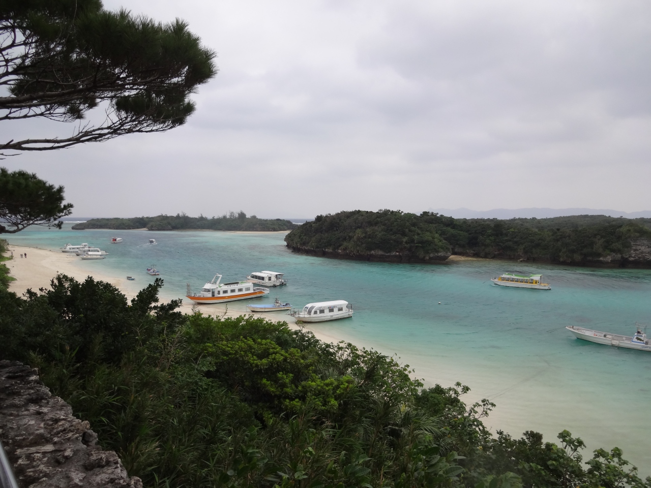 2013年 初国内旅行 東京観光 日本の避寒地 暖かな沖縄 石垣島 竹富島 まったり石垣島 1月 2013年 石垣島 沖縄県 の旅行記 ブログ By Hamaさん フォートラベル 2013年 初国内旅行 東京観光 日本の避寒地 暖かな沖縄 石垣島 竹富島 まったり石垣島 1月 2013年 石垣島 沖縄県 の旅行記 ブログ By Hamaさん フォートラベル