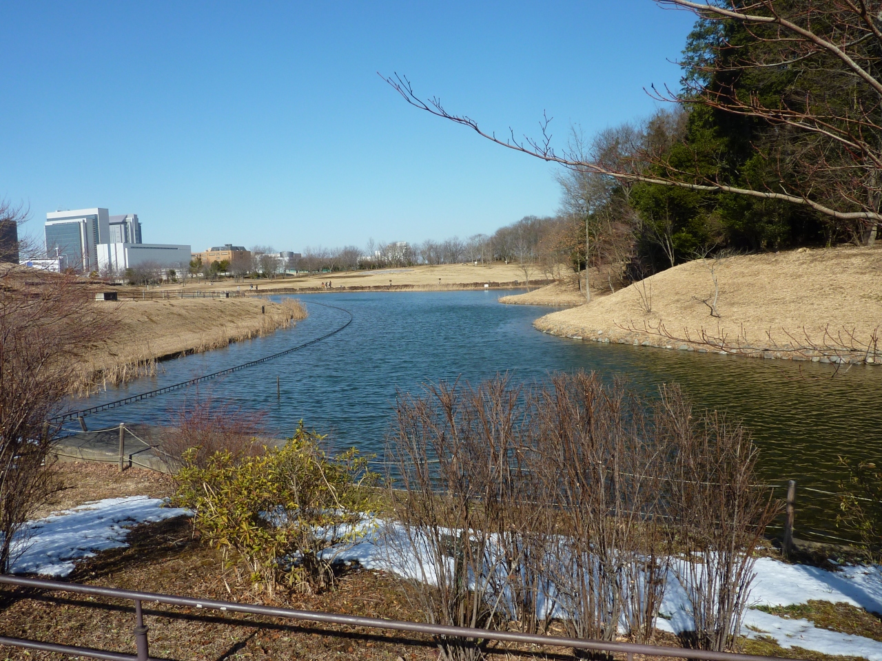 犬と散歩出来る公園 北総花の丘公園 鎌ヶ谷 印西 八千代 千葉県 の旅行記 ブログ By ひゅうひゅうさん フォートラベル 犬と散歩出来る公園 北総花の丘公園 鎌ヶ谷 印西 八千代 千葉県 の旅行記 ブログ By ひゅうひゅうさん フォートラベル