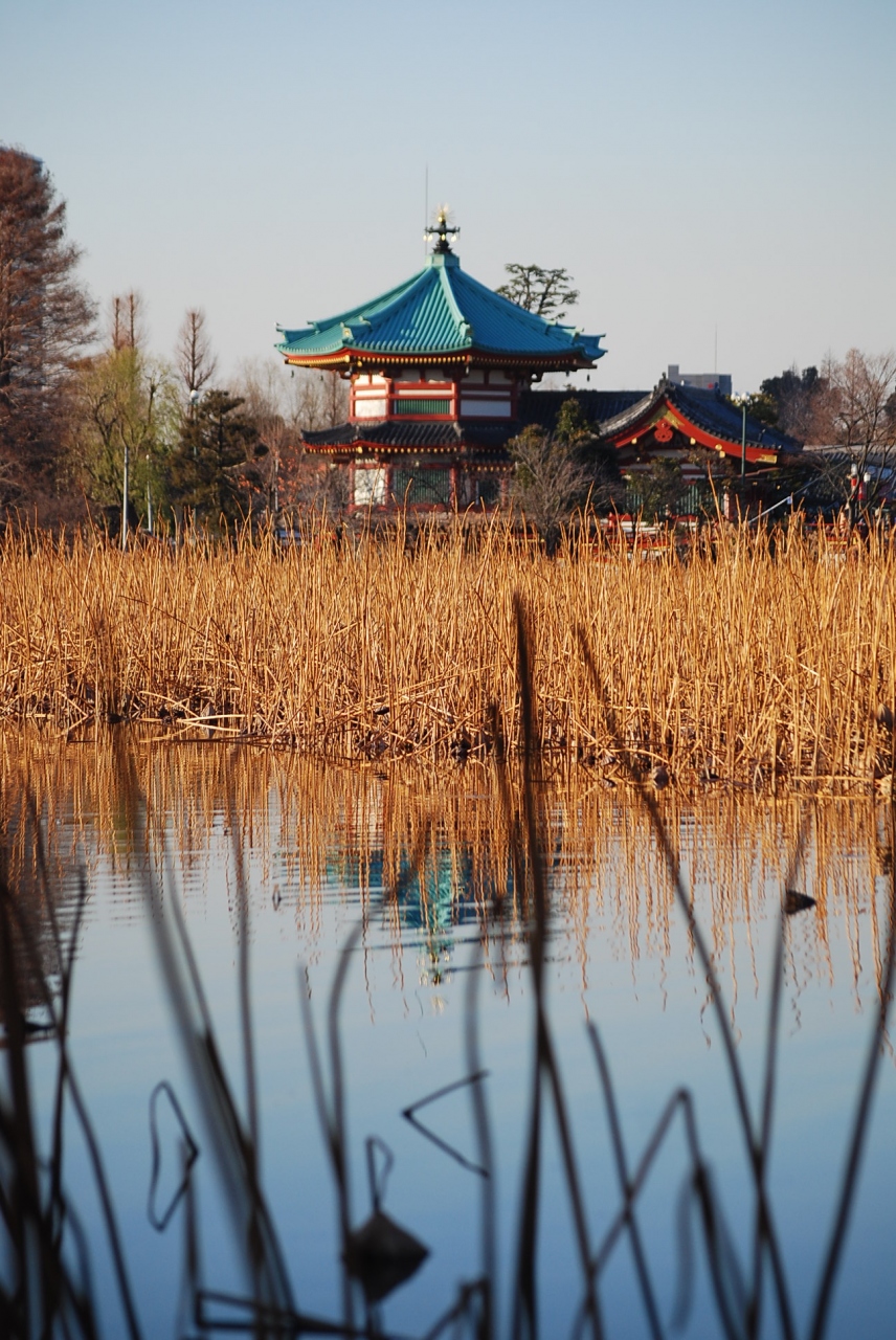 上野公園 弁天堂訪問 上野 御徒町 東京 の旅行記 ブログ By Tsunetaさん フォートラベル 上野公園 弁天堂訪問 上野 御徒町 東京 の旅行記 ブログ By Tsunetaさん フォートラベル