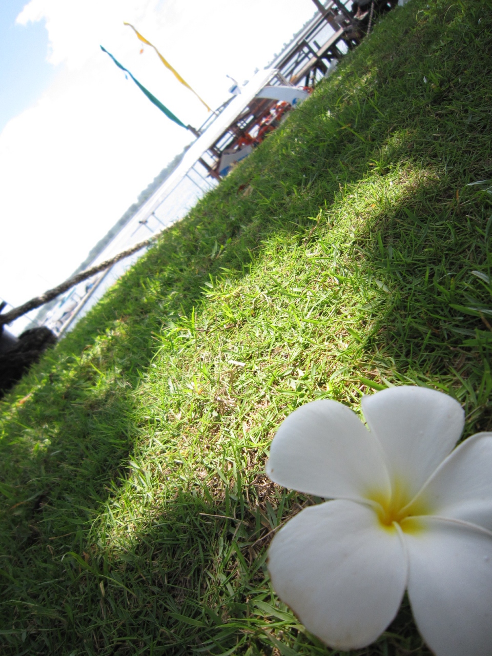 2011 11 Kと行く 気ままな女子2人旅 前半 バリ島 インドネシア の旅行記 ブログ By Bibidebalidebooさん フォートラベル