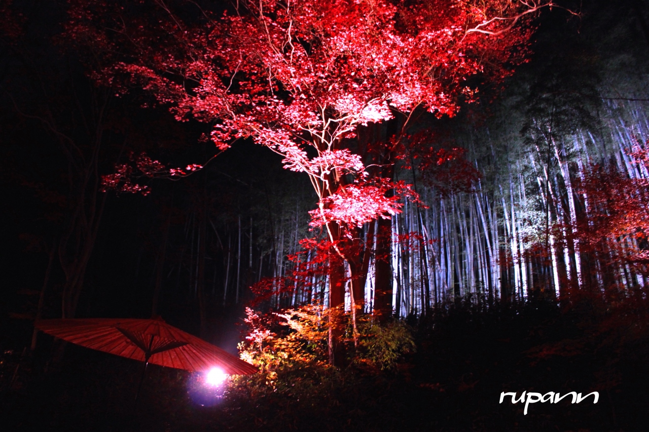 滋賀安土 隠れ里 石の寺教林坊 散紅葉ライトアップ 深緑の夏 紅葉真っ盛り 近江八幡 安土 滋賀県 の旅行記 ブログ By Rupannさん フォートラベル 滋賀安土 隠れ里 石の寺教林坊 散紅葉ライトアップ 深緑の夏 紅葉真っ盛り 近江八幡 安土 滋賀県 の旅行記 ブログ By Rupannさん フォートラベル