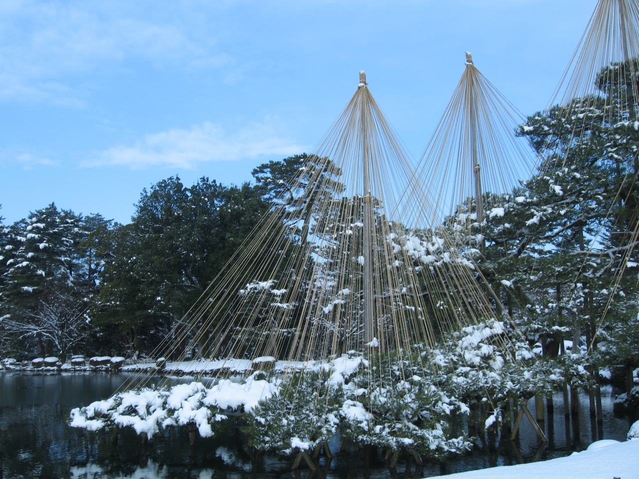 雪の金沢 兼六園の雪吊りが見たくて 金沢 石川県 の旅行記 ブログ By かなせいさん フォートラベル