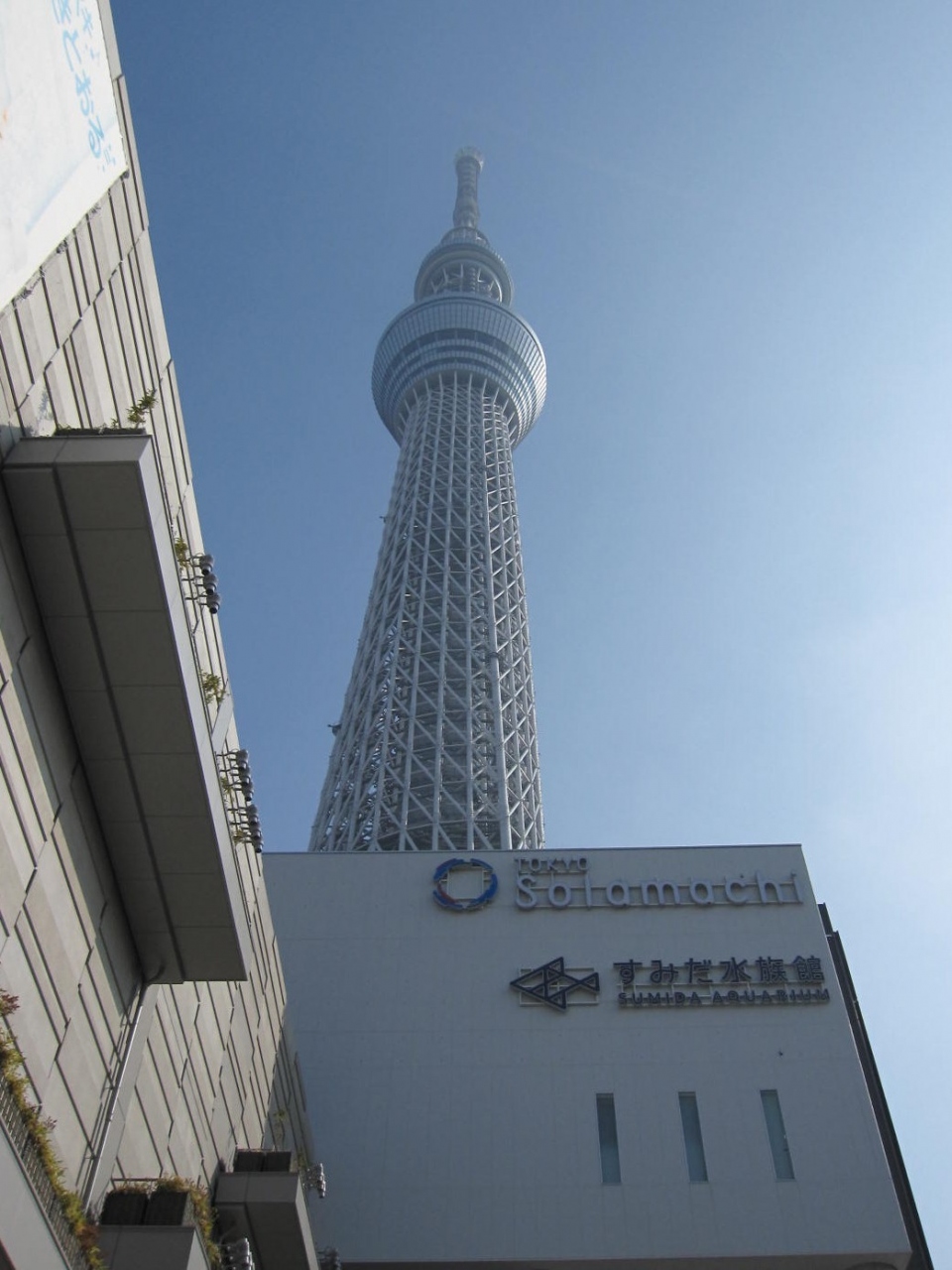ついに登ったスカイツリー 13 02 07 浅草 東京 の旅行記 ブログ By 杏仁豆腐さん フォートラベル