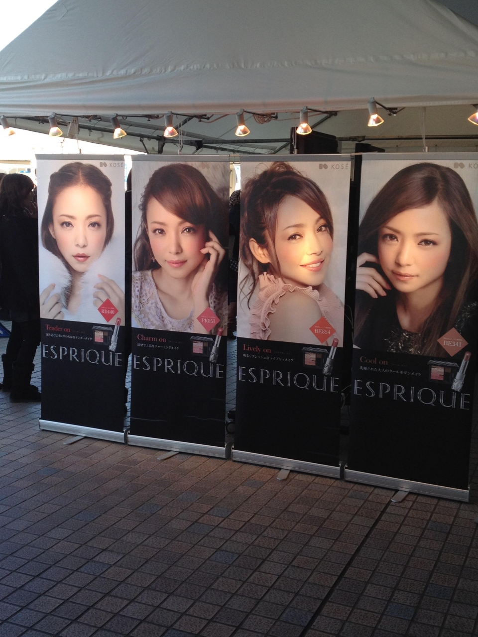 安室奈美恵２０ｔｈ ａｎｎｉｖｅｒｓａｒｙ ドームコンサート In Nagoya 名古屋 愛知県 の旅行記 ブログ By サラさん フォートラベル