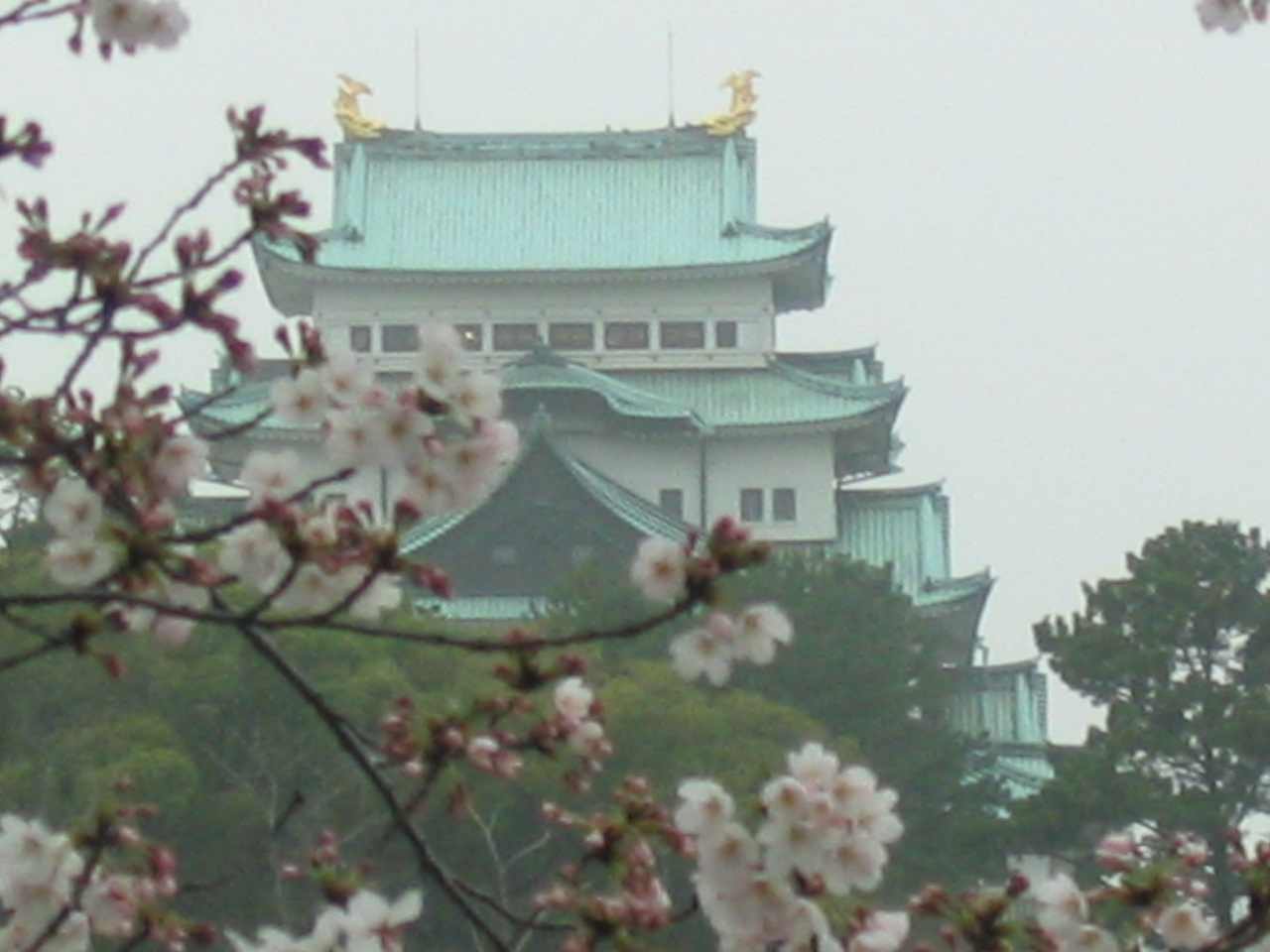 春の名古屋城 忍び寄る黄砂に煙る名古屋城 と風邪気味の私は 我が家で春を謳歌 名古屋 愛知県 の旅行記 ブログ By Rinnmamaさん フォートラベル 春の名古屋城 忍び寄る黄砂に煙る名古屋城 と風邪気味の私は 我が家で春を謳歌 名古屋 愛知県 の旅行記 ブログ By Rinnmamaさん フォートラベル