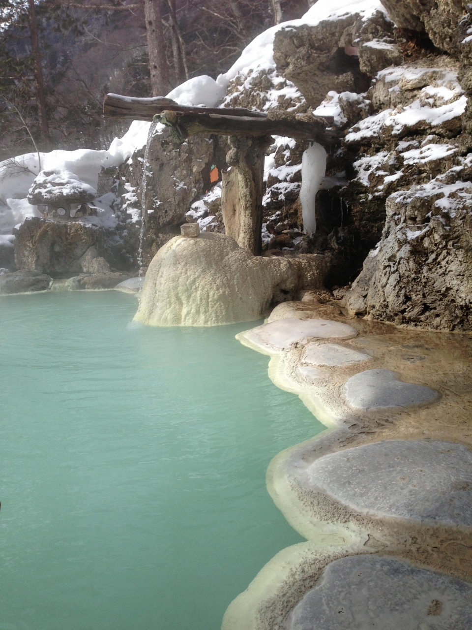 電車とバスの旅 13 冬の白骨温泉でのんびり 1 白船荘新宅旅館 白骨温泉 長野県 の旅行記 ブログ By Buchinekoさん フォートラベル