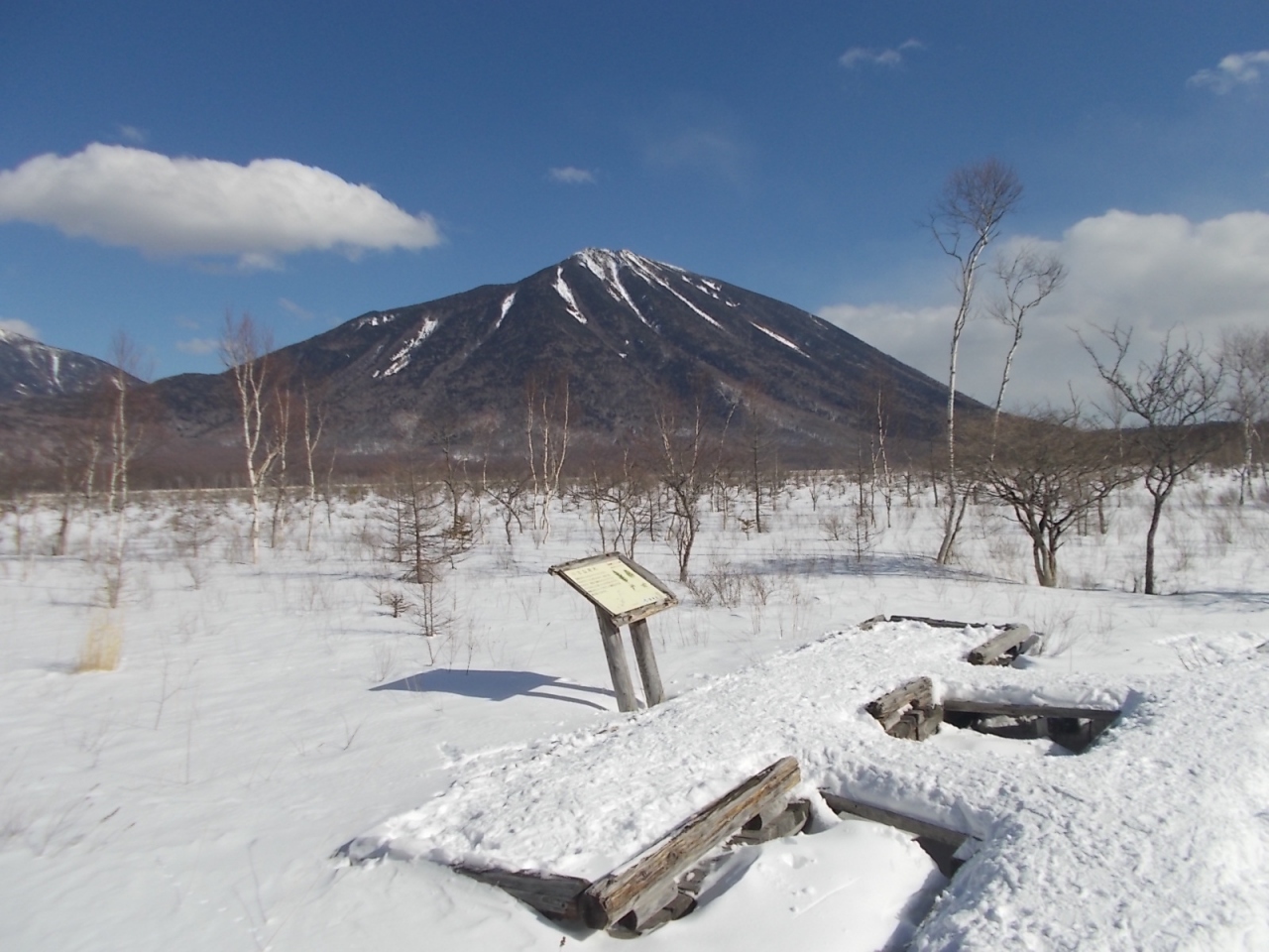 冬の戦場ヶ原ハイキング 日光 栃木県 の旅行記 ブログ By アライグマの湯さん フォートラベル