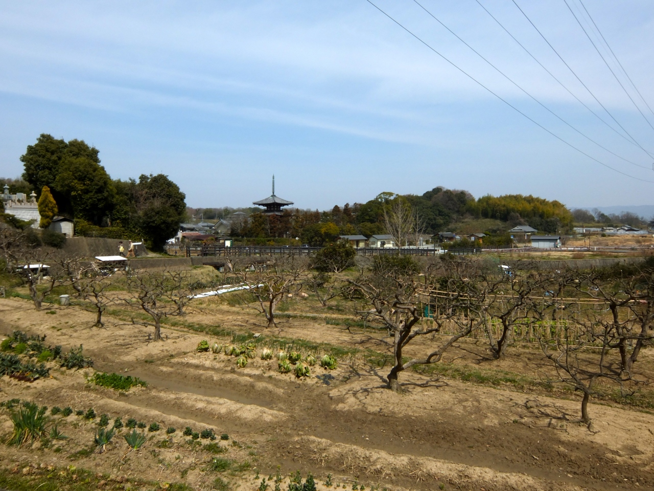 輪行風土記その弐 南海電車利用 紀ノ川と和歌山電鐵貴志川線サイクリング 岩出 紀の川 和歌山県 の旅行記 ブログ By Voodootokyoさん フォートラベル