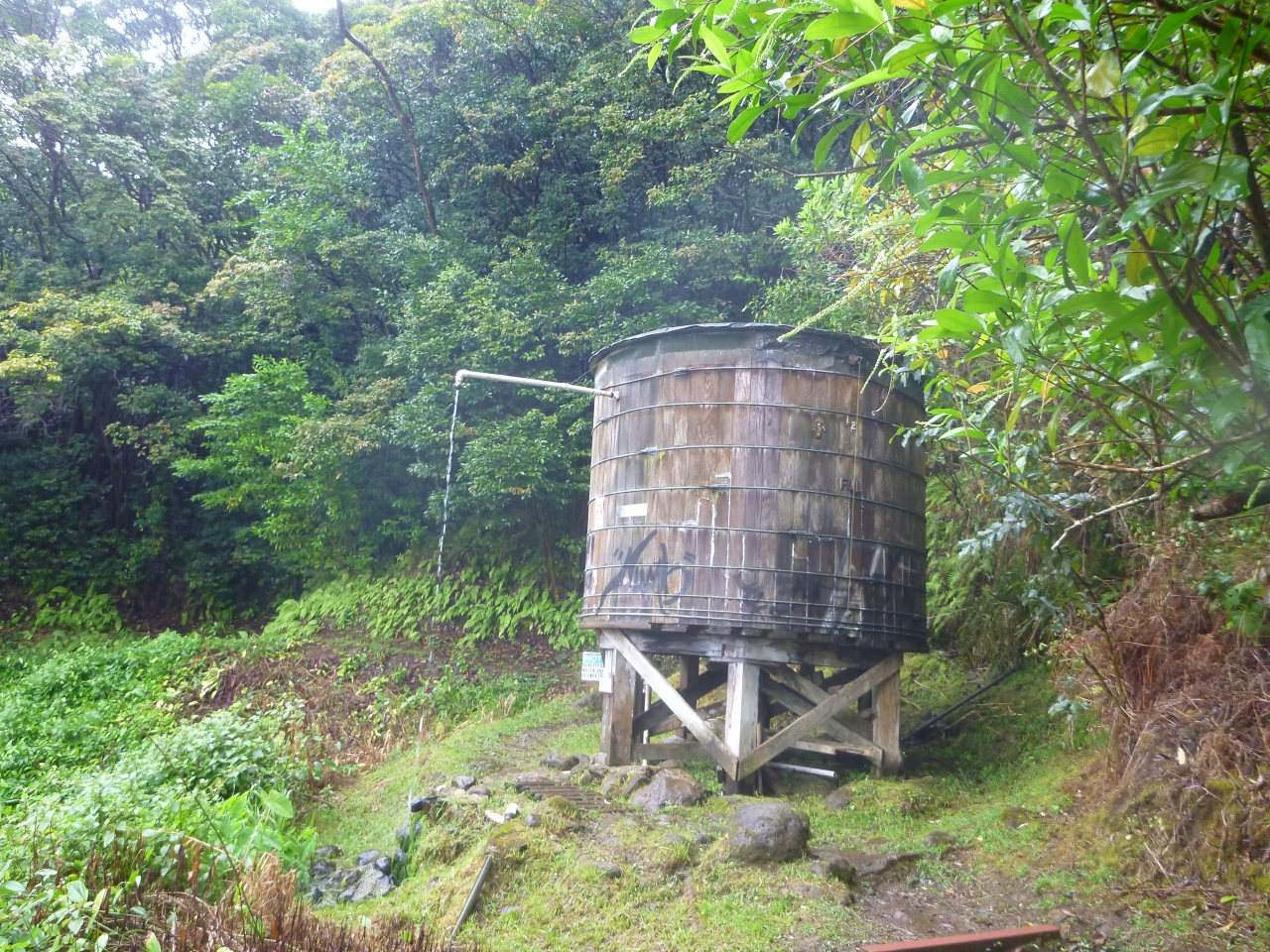 5ドルで行けるジャングルトレッキング オアフ島 ハワイ の旅行記 ブログ By 山ちゃんさん フォートラベル