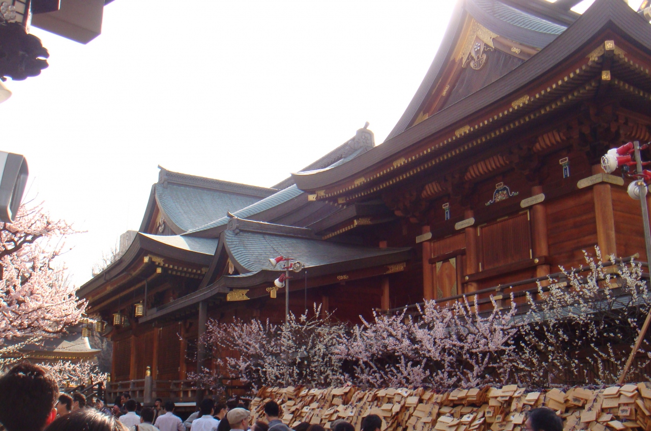 梅まつりは終わった はずの湯島天神へ 御茶ノ水 本郷 東京 の旅行記 ブログ By Wataさん フォートラベル