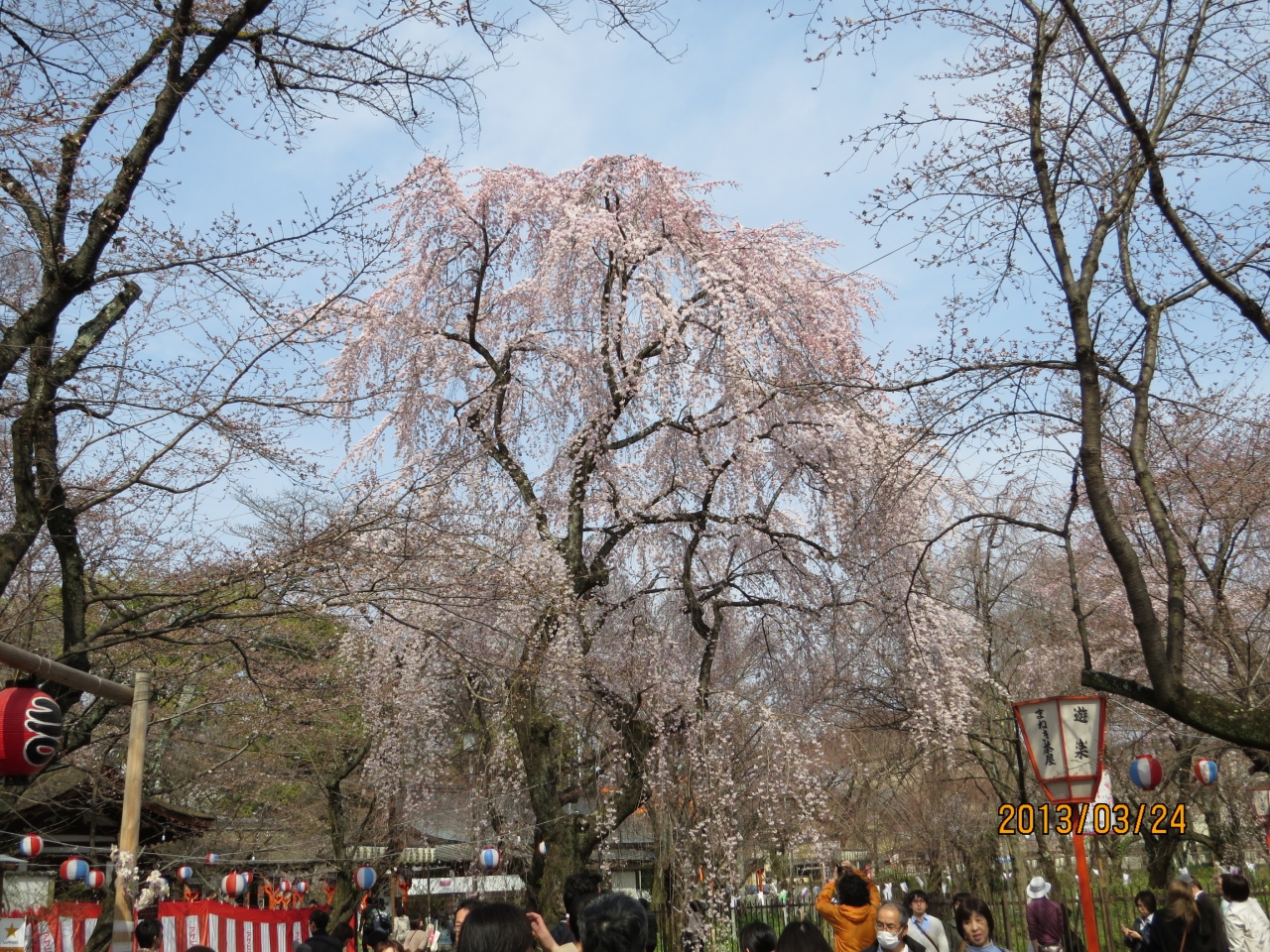 京都 嵐山嵯峨野 桜めぐり 嵐山 嵯峨野 太秦 桂 京都 の旅行記 ブログ By 十三の白髭さん フォートラベル 京都 嵐山嵯峨野 桜めぐり 嵐山 嵯峨野 太秦 桂 京都 の旅行記 ブログ By 十三の白髭さん フォートラベル