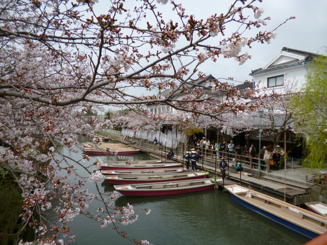 柳川 川下りとさげもん 柳川 大川 福岡県 の旅行記 ブログ By アラサー娘 さん フォートラベル