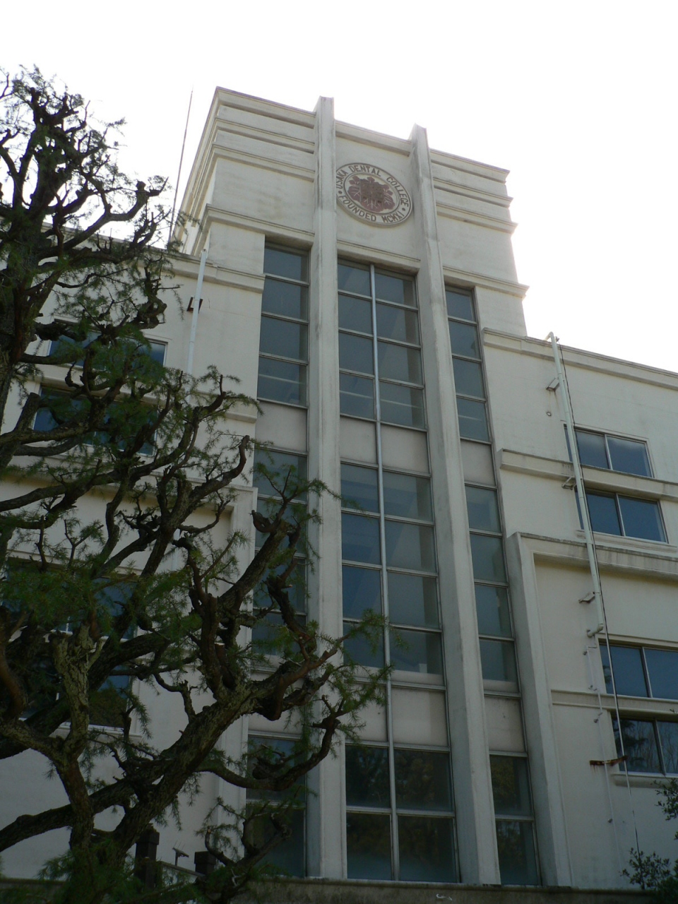 大学 大阪 歯科