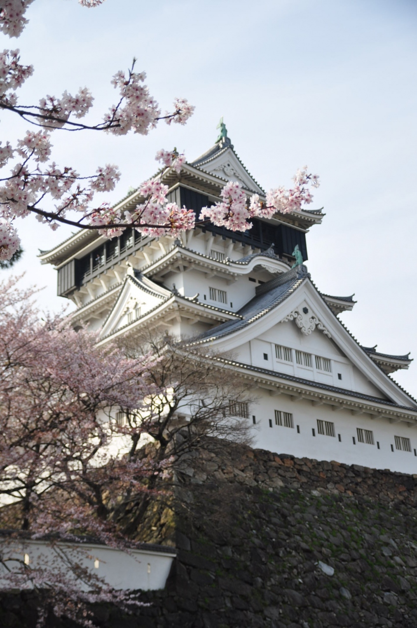 小倉の桜巡り 小倉 北九州市中心部 福岡県 の旅行記 ブログ By ありママさん フォートラベル