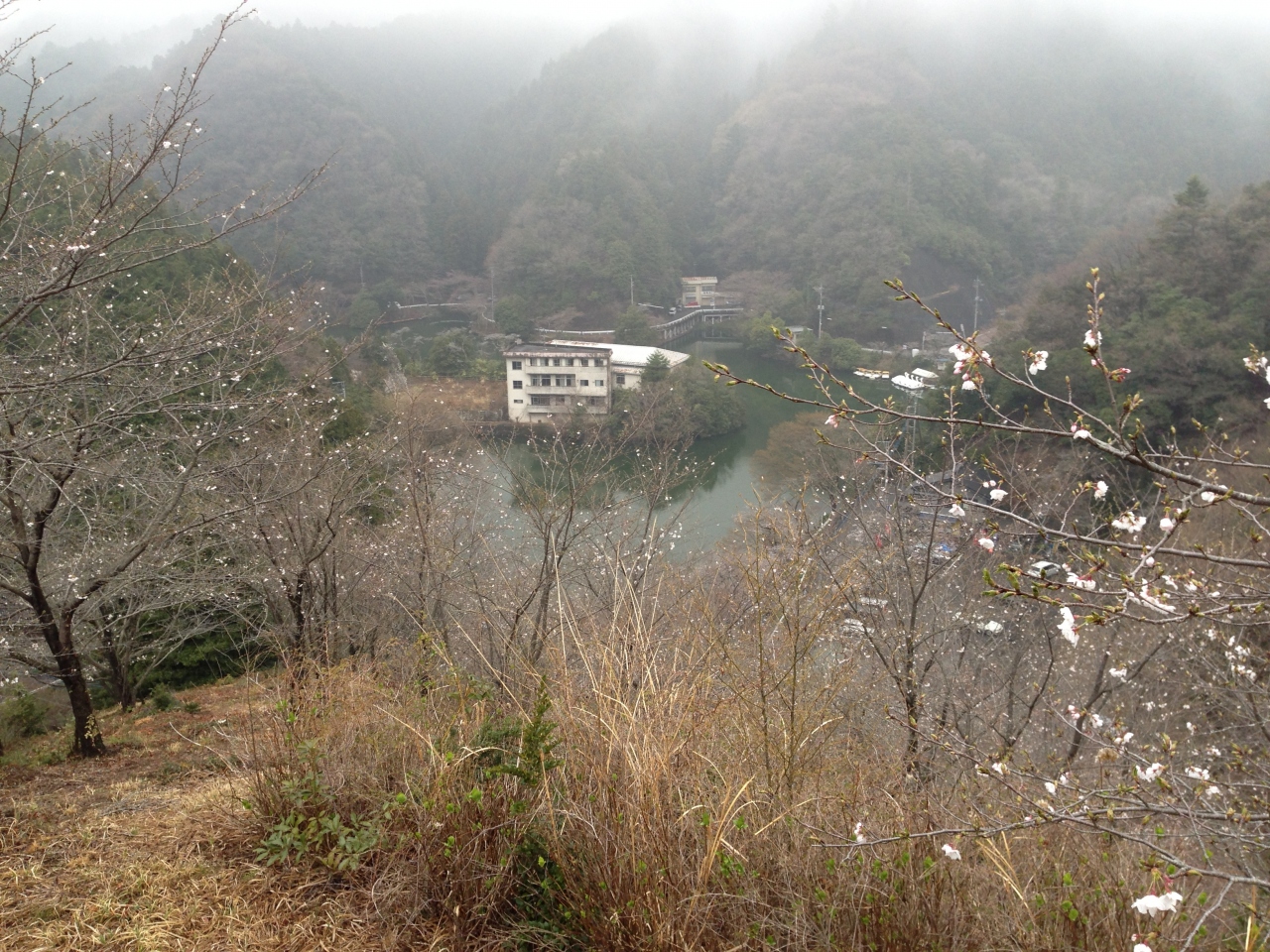 桜の季節に初めて花見に鎌北湖に行くがまだ5分咲き 日高 鶴ヶ島 坂戸 埼玉県 の旅行記 ブログ By ごろちゃんさん フォートラベル 桜の季節に初めて花見に鎌北湖に行くがまだ5分咲き 日高 鶴ヶ島 坂戸 埼玉県 の旅行記 ブログ By ごろちゃんさん フォートラベル
