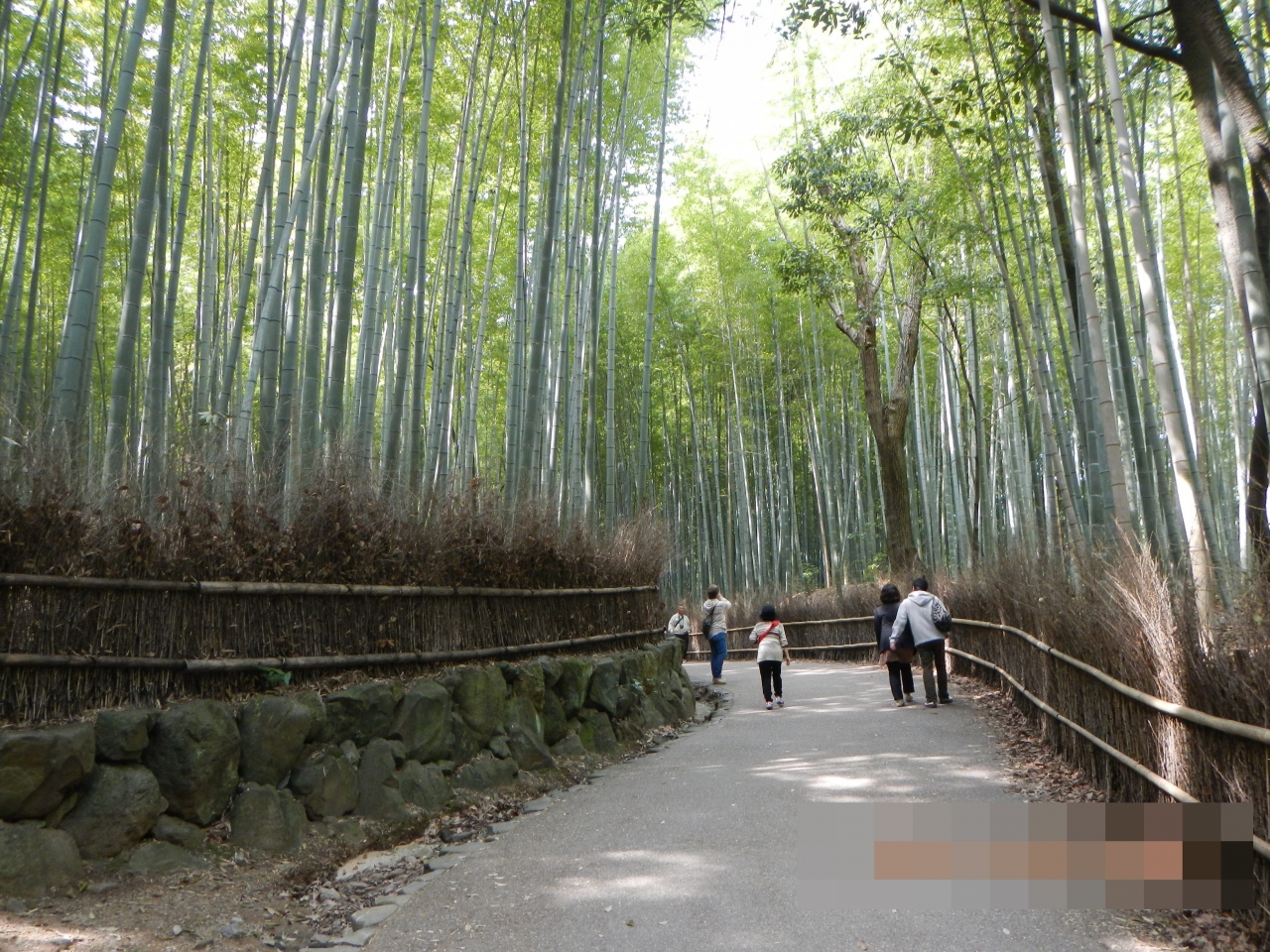 春ののんびり京都 大阪旅行３日間 嵐山 嵯峨野 太秦 桂 京都 の旅行記 ブログ By びびママさん フォートラベル