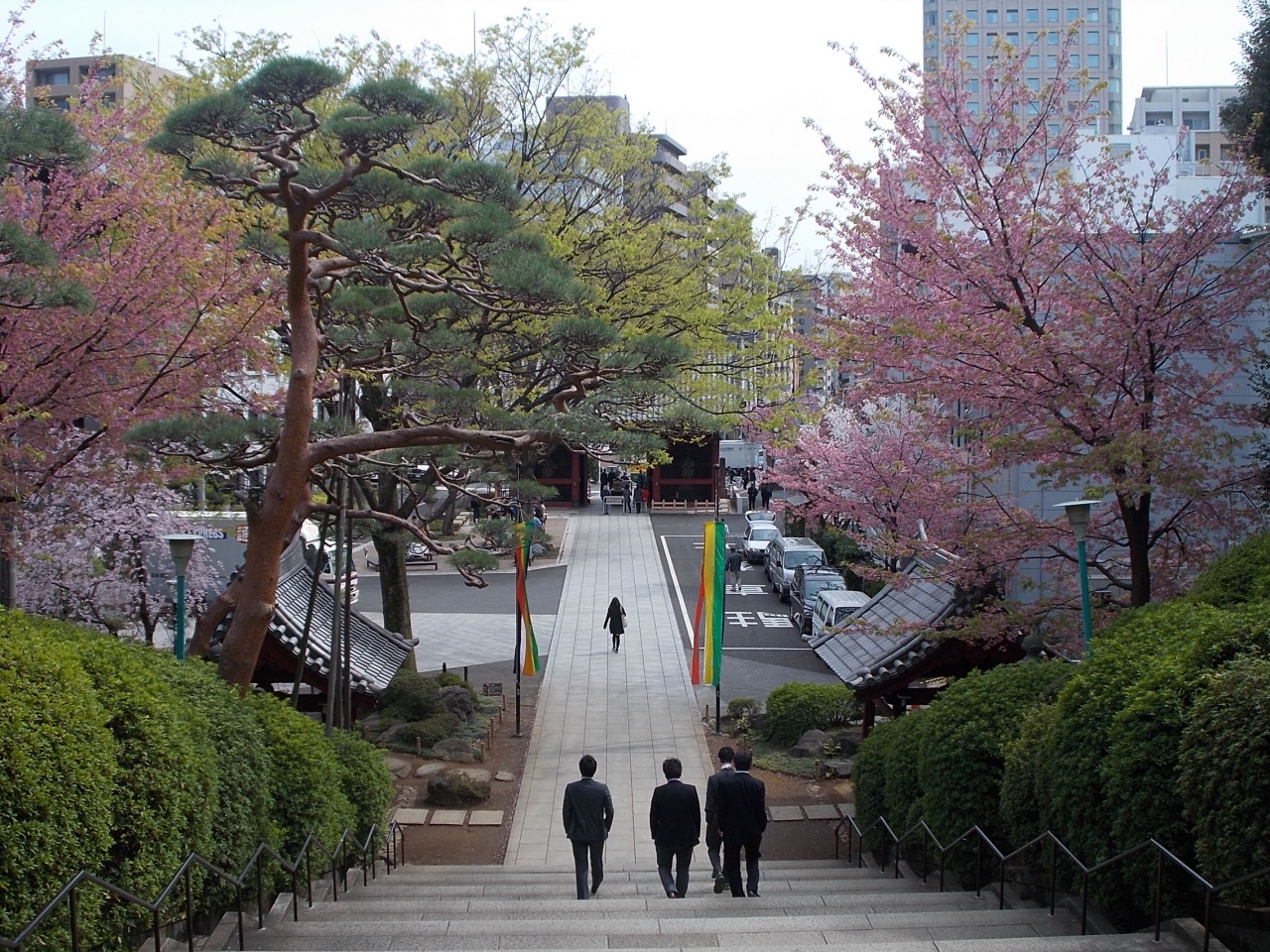 桜咲く 護国寺 境内 小石川 界隈 文京区 を 東京散歩 で ひと巡り 池袋 東京 の旅行記 ブログ By 白い華さん フォートラベル 桜咲く 護国寺 境内 小石川 界隈 文京区 を 東京散歩 で ひと巡り 池袋 東京 の旅行記 ブログ By 白い華さん フォートラベル