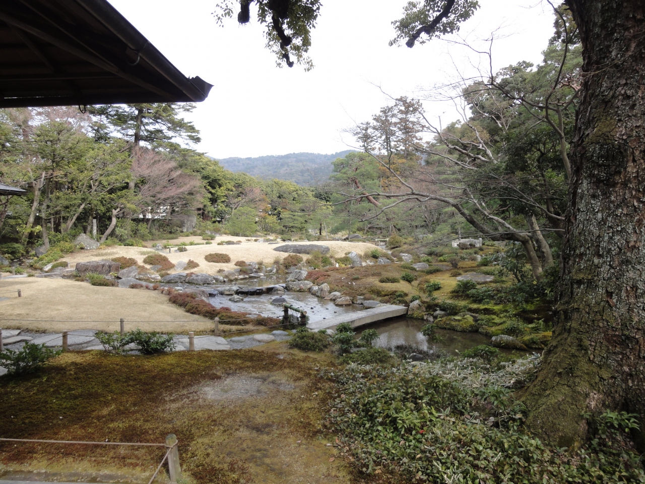 13年3月 琵琶湖 京都 伊賀の旅 その 2 京都西本願寺 伊賀牛金谷のすき焼き 京都駅周辺 京都 の旅行記 ブログ By 出たがりパパさん フォートラベル