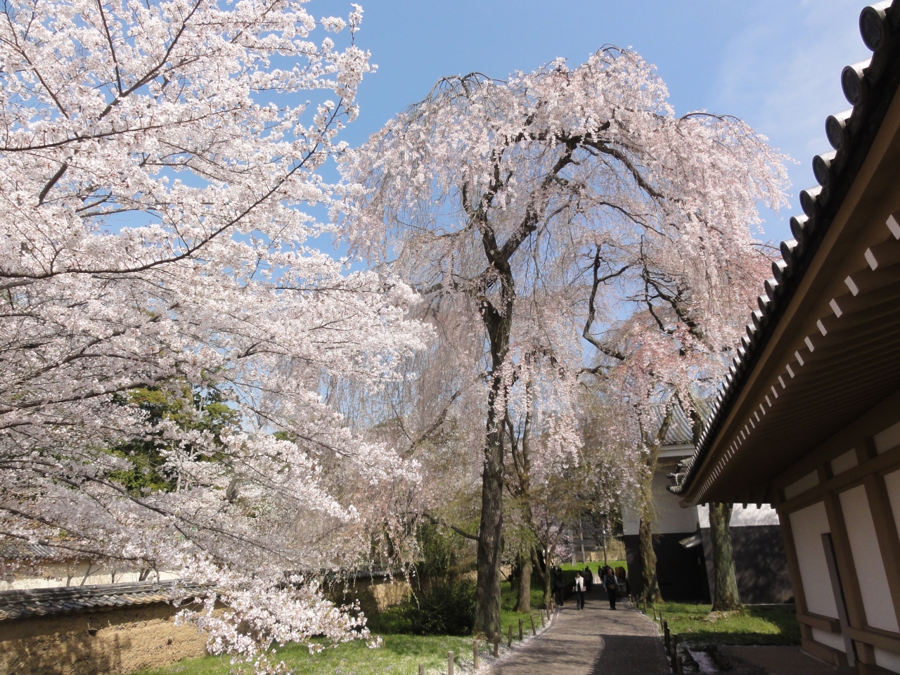 醍醐寺 三宝院 山科 京都 の旅行記 ブログ By 川上さん フォートラベル