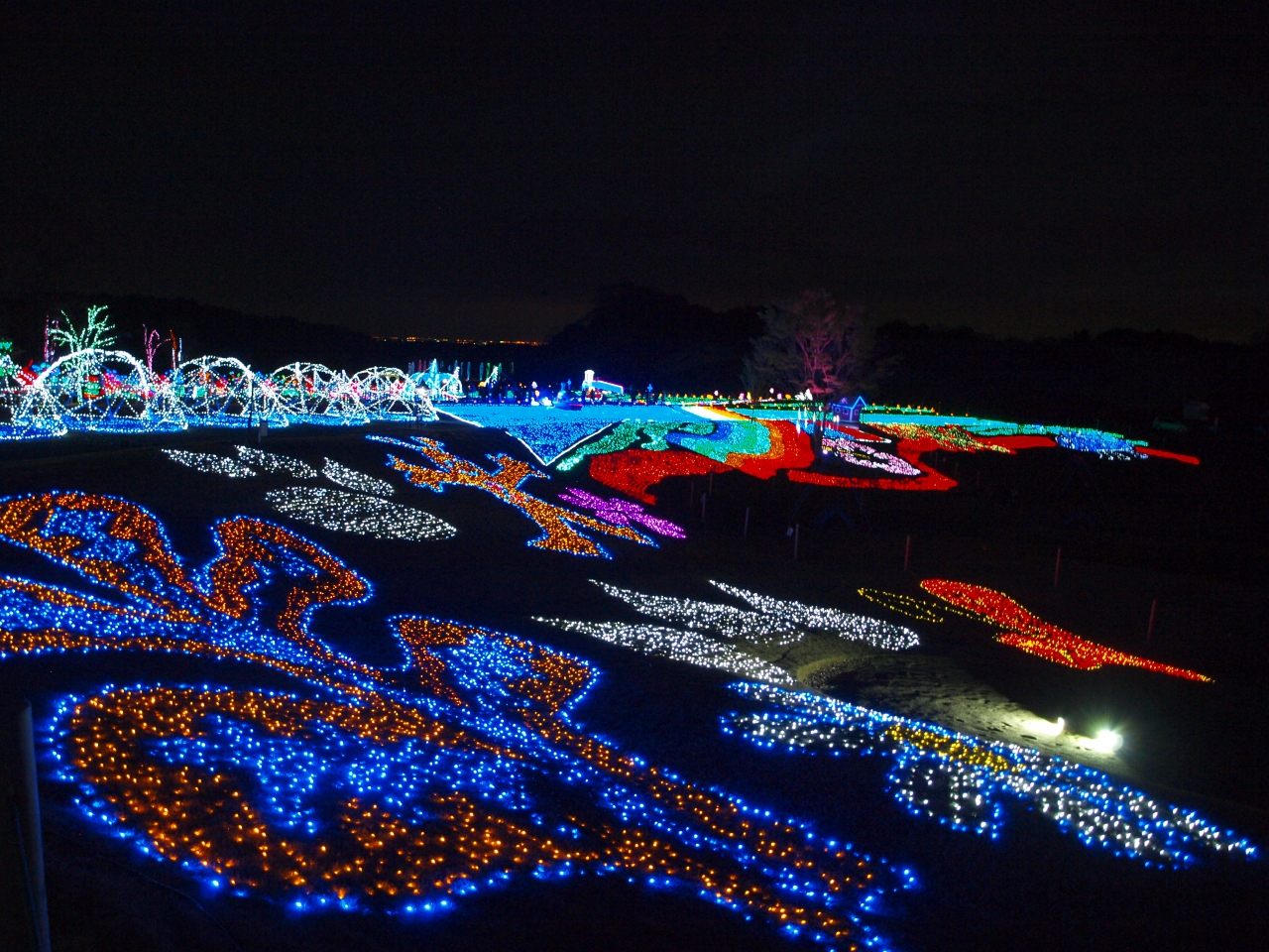 東京ドイツ村イルミネーション２０１３ 千葉 袖ヶ浦 袖ヶ浦 千葉県 の旅行記 ブログ By こめさん フォートラベル