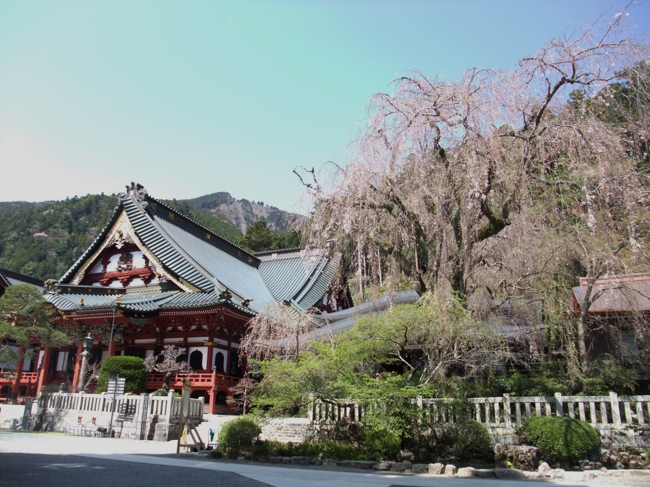 身延山久遠寺としだれ桜 身延 山梨県 の旅行記 ブログ By ナオさん フォートラベル