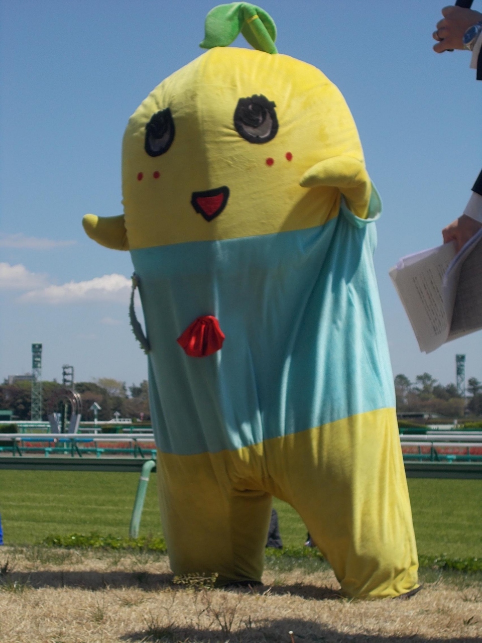大人気 非公認 の 叩き上げ ゆるキャラ ふなっしぃー が ご近所 中山競馬場 に やって来た 船橋 習志野 千葉県 の旅行記 ブログ By 白い華さん フォートラベル 大人気 非公認 の 叩き上げ ゆるキャラ ふなっしぃー が ご近所 中山競馬場 に やって来た 船橋 習志野 千葉県 の旅行記 ブログ By 白い華さん フォートラベル