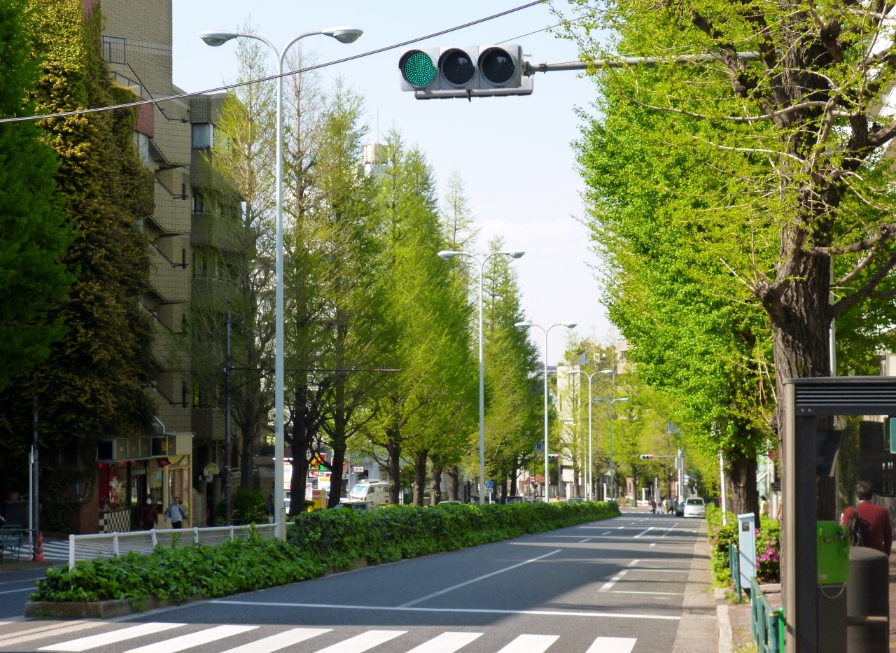 東京散歩 白金散歩 Roro Enoteca Cricca 白金 東京 の旅行記 ブログ By Zunzunさん フォートラベル